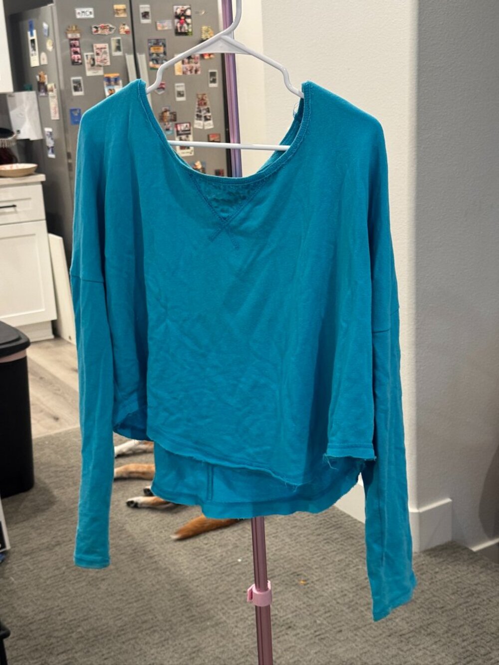 Blue aeropostale longsleeve shirt